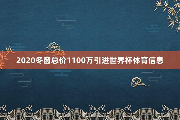 2020冬窗总价1100万引进世界杯体育信息
