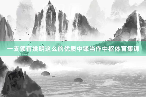 一支领有姚明这么的优质中锋当作中枢体育集锦