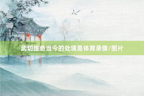 武切维奇当今的处境是体育录像/图片