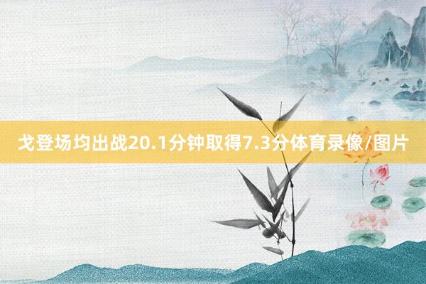 戈登场均出战20.1分钟取得7.3分体育录像/图片