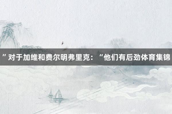 ”对于加维和费尔明弗里克：“他们有后劲体育集锦
