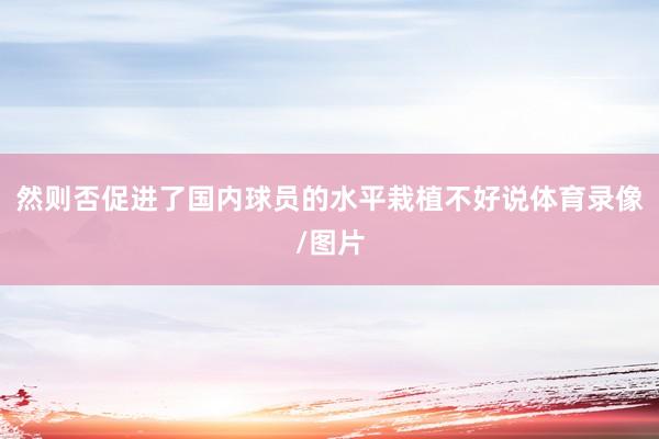 然则否促进了国内球员的水平栽植不好说体育录像/图片
