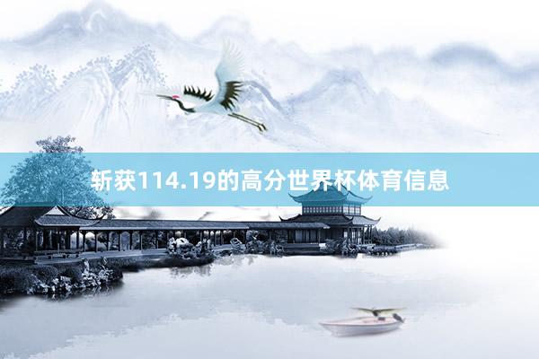 斩获114.19的高分世界杯体育信息