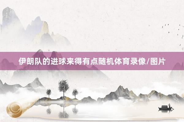伊朗队的进球来得有点随机体育录像/图片
