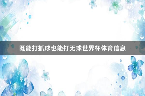 既能打抓球也能打无球世界杯体育信息