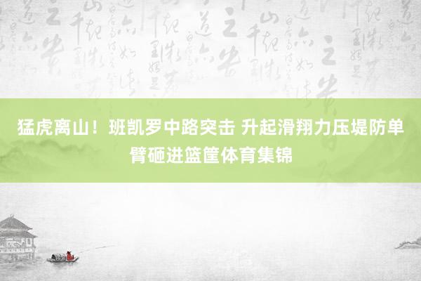 猛虎离山！班凯罗中路突击 升起滑翔力压堤防单臂砸进篮筐体育集锦
