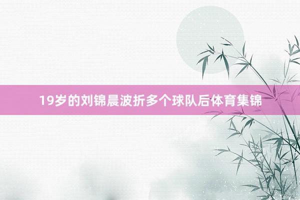 19岁的刘锦晨波折多个球队后体育集锦