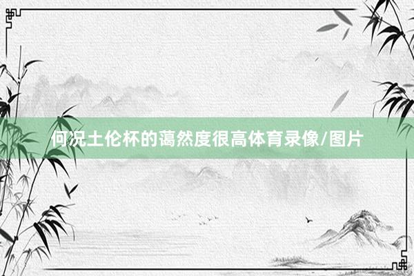 何况土伦杯的蔼然度很高体育录像/图片