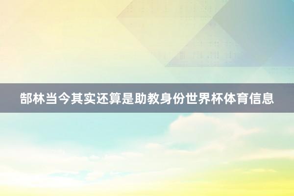 郜林当今其实还算是助教身份世界杯体育信息