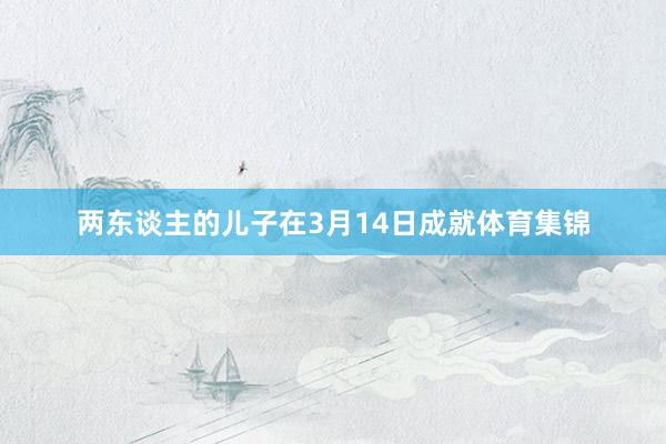两东谈主的儿子在3月14日成就体育集锦