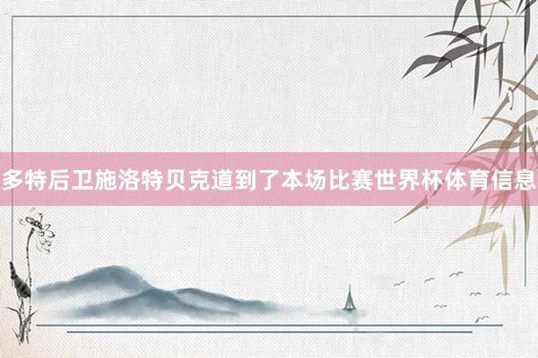 多特后卫施洛特贝克道到了本场比赛世界杯体育信息