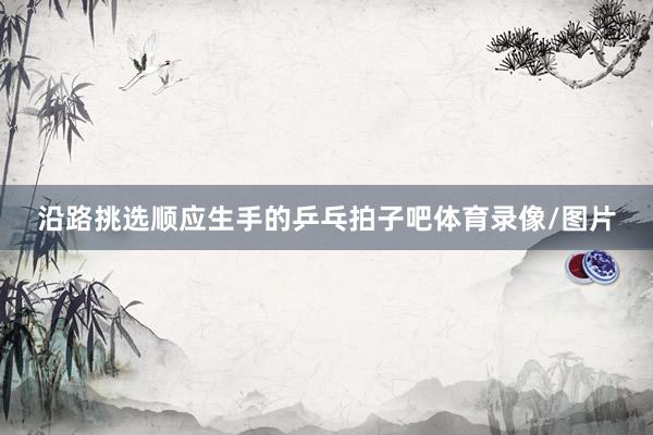 沿路挑选顺应生手的乒乓拍子吧体育录像/图片
