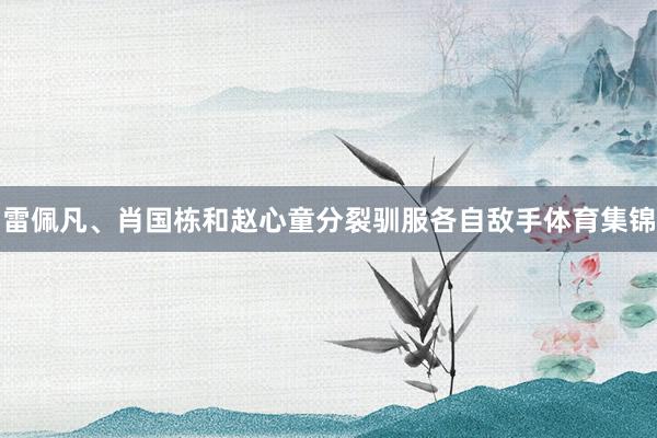 雷佩凡、肖国栋和赵心童分裂驯服各自敌手体育集锦