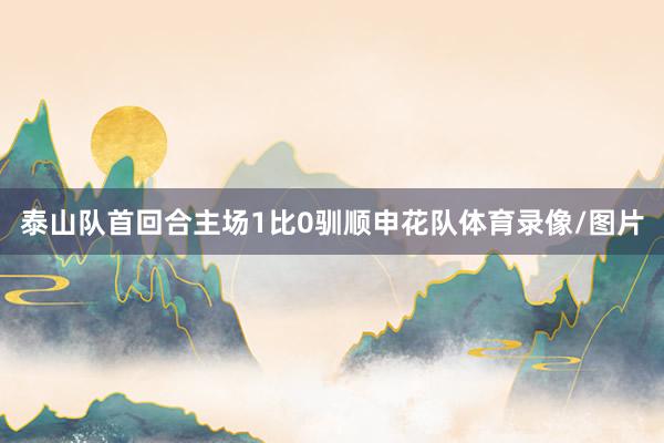 泰山队首回合主场1比0驯顺申花队体育录像/图片