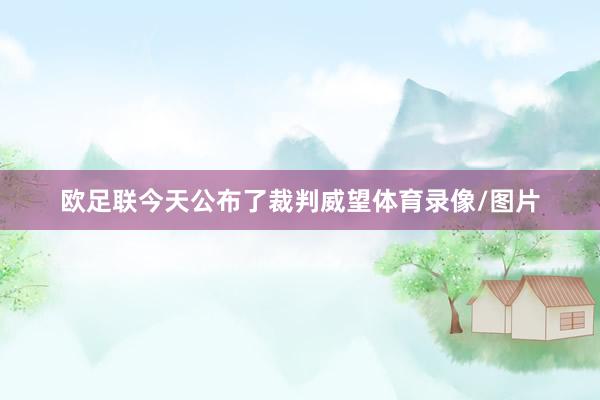 欧足联今天公布了裁判威望体育录像/图片