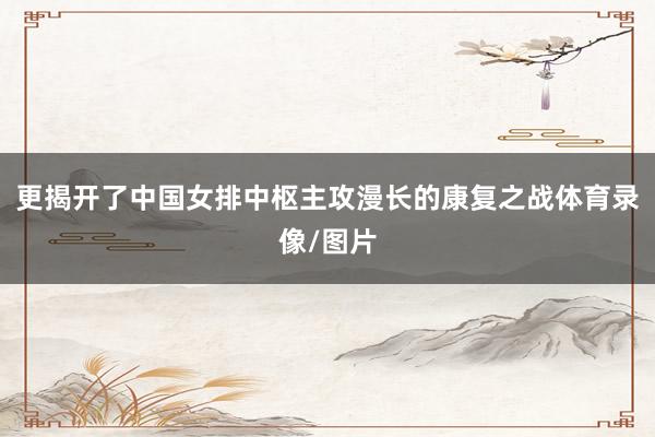 更揭开了中国女排中枢主攻漫长的康复之战体育录像/图片