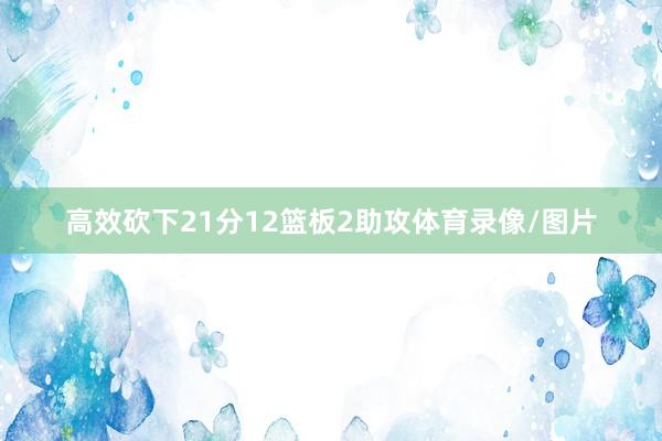 高效砍下21分12篮板2助攻体育录像/图片