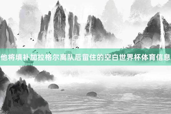 他将填补加拉格尔离队后留住的空白世界杯体育信息