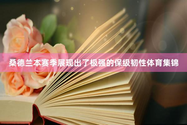 桑德兰本赛季展现出了极强的保级韧性体育集锦