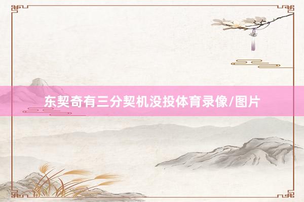 东契奇有三分契机没投体育录像/图片