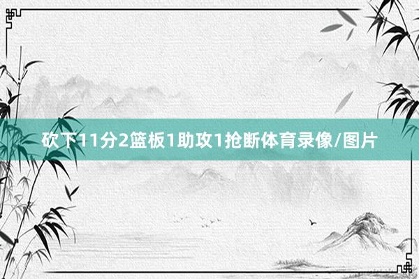 砍下11分2篮板1助攻1抢断体育录像/图片