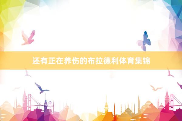 还有正在养伤的布拉德利体育集锦