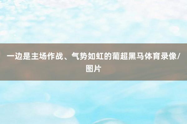 一边是主场作战、气势如虹的葡超黑马体育录像/图片