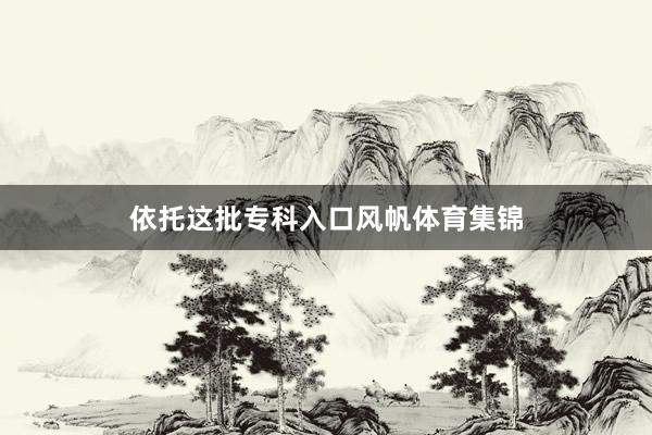 依托这批专科入口风帆体育集锦