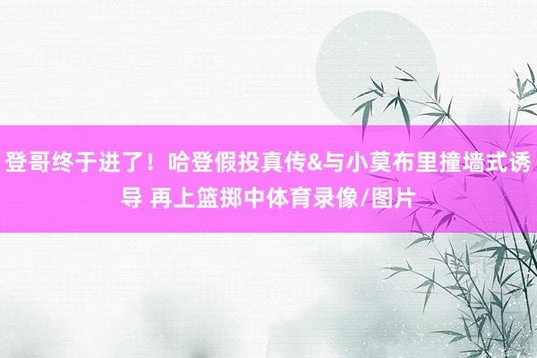 登哥终于进了！哈登假投真传&与小莫布里撞墙式诱导 再上篮掷中体育录像/图片
