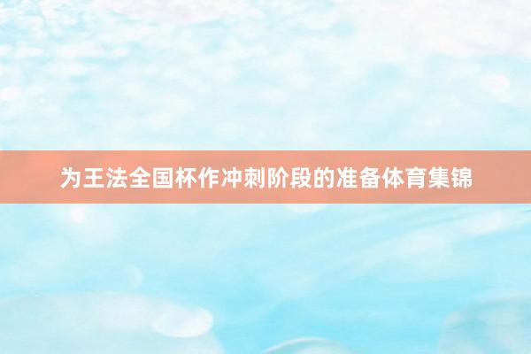 为王法全国杯作冲刺阶段的准备体育集锦