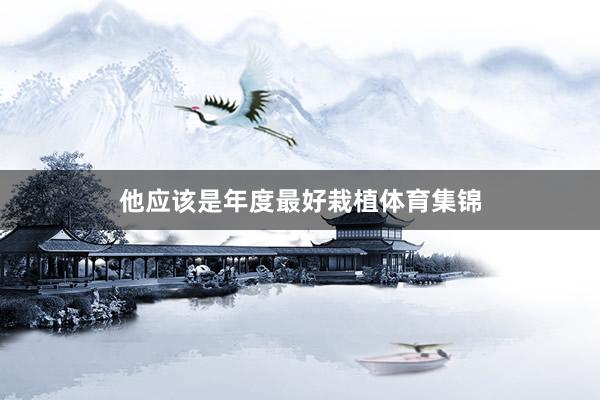 他应该是年度最好栽植体育集锦